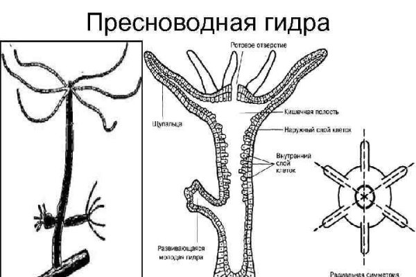 Как зайти на kraken маркетплейс