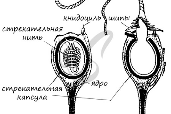 Ссылка на kraken торговая площадка