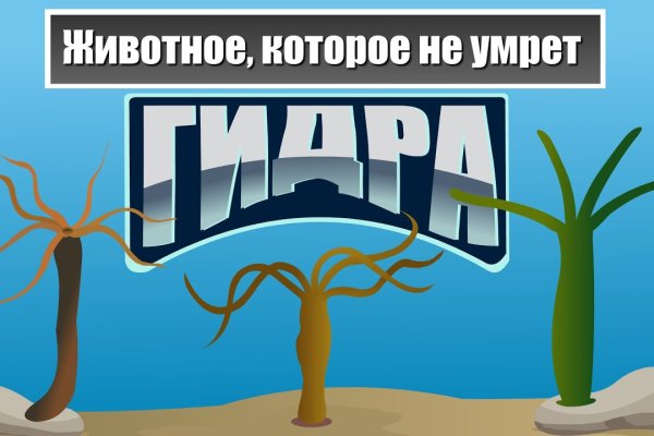 Кракен магазин наркоты