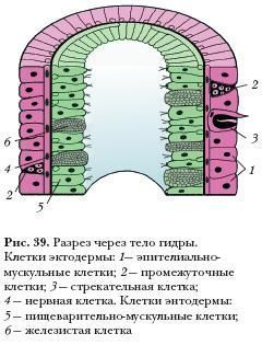 Кракен наркоман