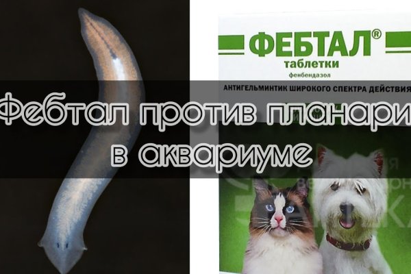 Kraken вход kraken torion